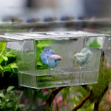 Acrylic Fish Tank Breeder Box