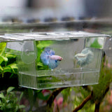 Acrylic Fish Tank Breeder Box