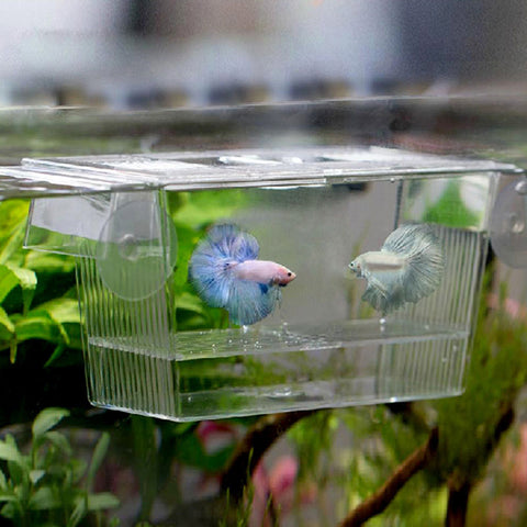 Acrylic Fish Tank Breeder Box