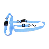 Convenient ruining leash