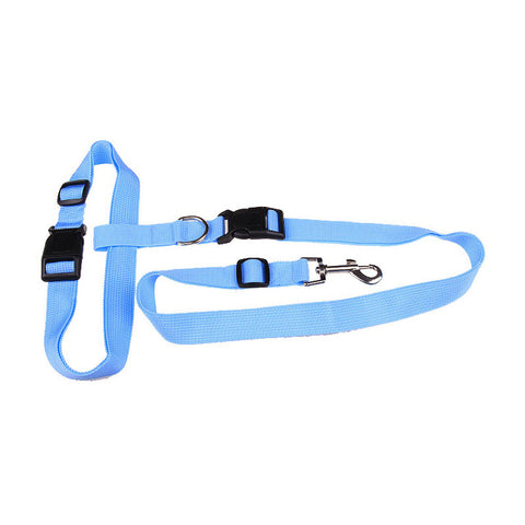 Convenient ruining leash