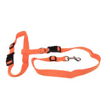Convenient ruining leash