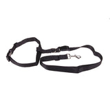 Convenient ruining leash