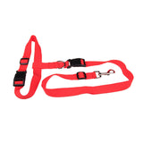 Convenient ruining leash