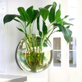 Pot Plant Wall Mounted Hanging Aquarium