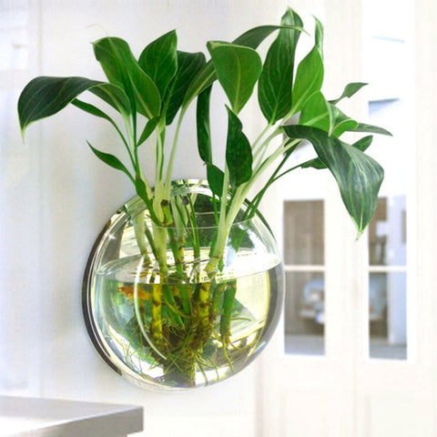 Pot Plant Wall Mounted Hanging Aquarium