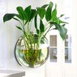 Pot Plant Wall Mounted Hanging Aquarium