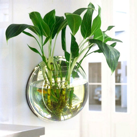Pot Plant Wall Mounted Hanging Aquarium