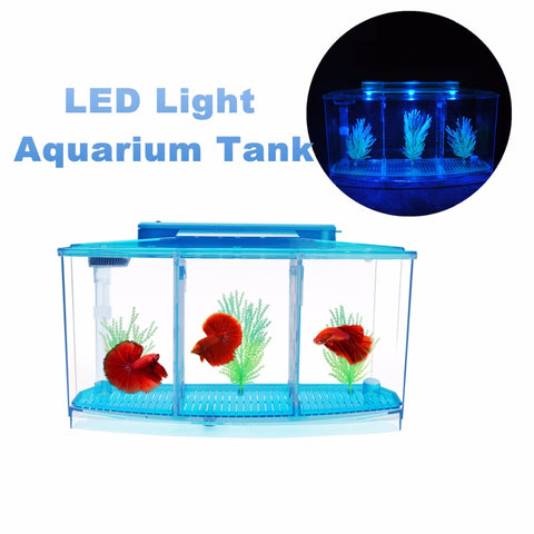 Acrylic Aquarium
