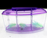 Acrylic Aquarium