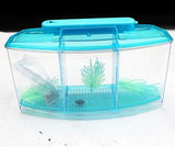 Acrylic Aquarium